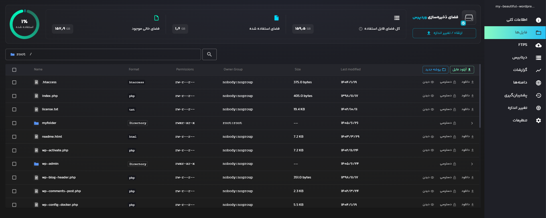WordPress file manager in Liara console